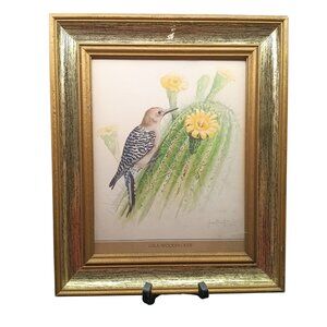 Vintage Gila Woodpecker Print By James P. Smith In Gold-Toned Frame